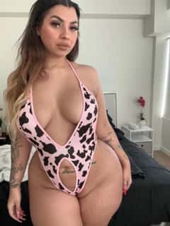 (402)201-5594 is ethnicity_Mixedandoffers nuru massages, asian massage, bodyrubs in Tampa and available for service_location_bothon rubrankings I am passionate and sensual, sophisticated yet fun loving with a very naughty side which I would love to share with you. Upfront payment on all outcall.
I cater to exceptional gentlemen looking for the ultimate in female companionship and pampering. If you are after breathtaking beauty and a sweet and flirtatious nature then lets meet and share some beautiful moments.

I stand 51 with heavenly measurements , I have silky soft skin and mesmerizing grey eyes with an unforgettable smile. I'm sophisticated, attractive, exotic and uncomplicated.

I'm very private, discreet and respectful to your needs. I have a fun-loving attitude and will delight and tantalize your senses, ensuring an unforgettable experience. An encounter with me is always un-rushed.

✅Swedish
 ✅Deep Tissue
✅Nuru 
✅Prostate, 
✅B2b Glide
✅Pressure Points and 
✅Light Touch. 
✅Yummy Happy Ending 
All in a nice therapeutic atmosphere with soft music and aroma therapy candles.  Upgrades also available! with request? 100% Fetish Friendly and I offer nasty pics and hot videos at affordable prices.


I look forward to hear from you,

Signal   :: 4022015594

Watsapp :: 4022015594

Telegram :: goddessyum

Discord :: realyum12