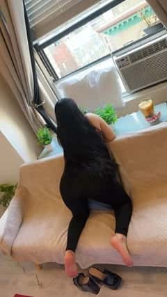 (347)363-7797 is ethnicity_Mixedandoffers nuru massages, asian massage, bodyrubs in New York City Nyc and available for service_location_bothon rubrankings I have  a passion  for  contenporany  dance and  architecture . Iam happy to offer  this trandcender  experiencie that will elevate your curren  state of being  A 60-minute full-body massage session incluido a 20 minute  massage using feet ??? prostate massge ? 4 heands? wax 