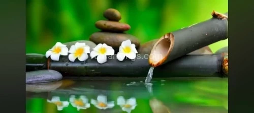 (719)920-7075 is asianand offers nuru massages, asian massage, bodyrubs in Colorado springs and available for incall on rubrankings Welcome to walk-in or make an appointment at our wonderful spa.We offer clean facilities with calming music. We have Hot Stone, Heat Pads, Massage Chairs and Vibrating Heated Massage Tables. Our specialists will take very good care of you so that you may reach your desired level of relaxation. We have Latina and Asian Ladies for your preferences.We are located at:Pattaya Body Work908 N Circle Drive Suite CColorado Springs, Colorado 80909Phone: (719) 920-7075Hours Open: 9:00AM-10:00PM