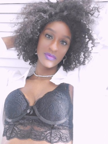 (443)892-0795 is Blackand offers nuru massages, asian massage, bodyrubs in Greensboro and available for incall on rubrankings Sexy Ebony Masseuse providing full body massage, hands only ending. No draping, no rush, no hassel. Clients 45+ only. Thank you 😘 

Nude Full body Massage, ha
$200/90mins,150/hr, 100/HHR
 BY APPOINTMENT ONLY. Incall to private studio on Randleman Road. 