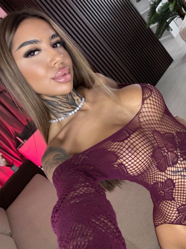 (202)931-8341 is Latinoand offers nuru massages, asian massage, bodyrubs in Washington and available for both on rubrankings Wanna cum in me?
you probably weren’t looking for me, you were just scrolling, bored,half hard 😂 now here i am.

Side quest unlocked 😈I’m Sarra, 20, brunette, great bubble butt, perfect round pierced tits.

No fake personality, no pretending to be classy or mysterious. What you see is what you get. Confidence, curves, and a girl who knows exactly what she’s doing. 
dm me on onlyfans if you’re curious 🤍💙

onlyfans.com/sarraines/c29