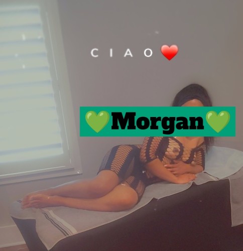 (910)888-2240 is Blackand offers nuru massages, asian massage, bodyrubs in Raleigh and available for incall on rubrankings Hi, I’m Morgan 💕 I’m a gentle soul offering warm, soothing healing energy sessions for respectful gentlemen. I am 27 years old.

With peaceful, nurturing care, I help you release stress and feel refreshed and balanced in a calm, private space.
I will be available from 9:30 AM until 6 PM every other Monday and Friday. 

I welcome well-mannered, respectful gentlemen only. Sessions are gentle HANDS-ONLY experiences. Please keep all communication polite and professional 

no vulgar language or requests for extras. Thank you for understanding 💕

Please text only. I do not respond to phone calls. 

Please respond with your NAME, AGE, and RACE. Scheduling ahead is best 😌
