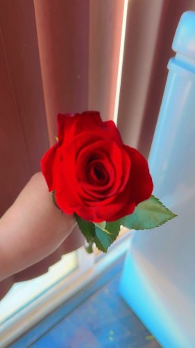 (442)392-6351 is ethnicity_Caucasianandoffers nuru massages, asian massage, bodyrubs in Riverside and available for service_location_incallon rubrankings discreet, and revisiting the area for a short time.
Never a disappointment our time wasted call me or text me for donations and for an unforgettable experience, I'll be waiting to hear from u