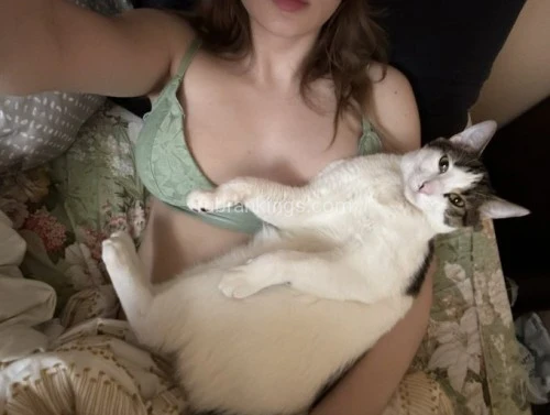 (302)312-5408 is Caucasianand offers nuru massages, asian massage, bodyrubs in Bloomington and available for both on rubrankings I am a true Mistress in heart and I do my Job for the pleasure but with the respect for the art itself, doesn’t means I will be giving out freebies or tasks for free. So your Initial Tribute. You might be afraid of my sadistic regime, but be aware, there is also a caring and loving side of me. I can soothe the pain as well as cause it. With the wide range of toys and many fetishes to play with, I will be the one to fulfill your dreams and biggest fantasies.
I have many favorite kinks, ranging from traditional corporal punishment, foot fetish, cuckolding, leather worship, slave training, chastity & key holding, whipping, face sitting, face slapping, nipple play, fetish exploration, tease & denial, goddess worship, over/the-knee-spanking, gagging, spanking, golden showers, strapon play, bondage, total power exchange, having my slaves to please me orally, role plays, pegging, corsets, trampling, cbt, humiliation of different types. If you have something you’ve always wanted to try, I can assure you I’ve done it, or at least have done similar. I love creating new experiences for submissives, building trust and connection through kink, and most importantly—having lots of filthy, pleasurable fun! 
I look forward to hear from you and explore your darkest desires together.
I AM VERY DISCREET AND I WILL RESPECT YOUR BOUNDARIES.
Please text me at: +1 302-312-5408
WhatsApp: +1 302-312-5408
Signal : 302-312-5408
Telegram 302-312-5408
