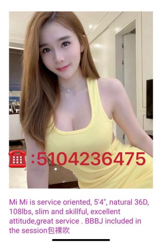 🛑 🌈⭐️🌈 🛑 Fun Paradise 5104236475🛑 🌈⭐️🌈 🛑 